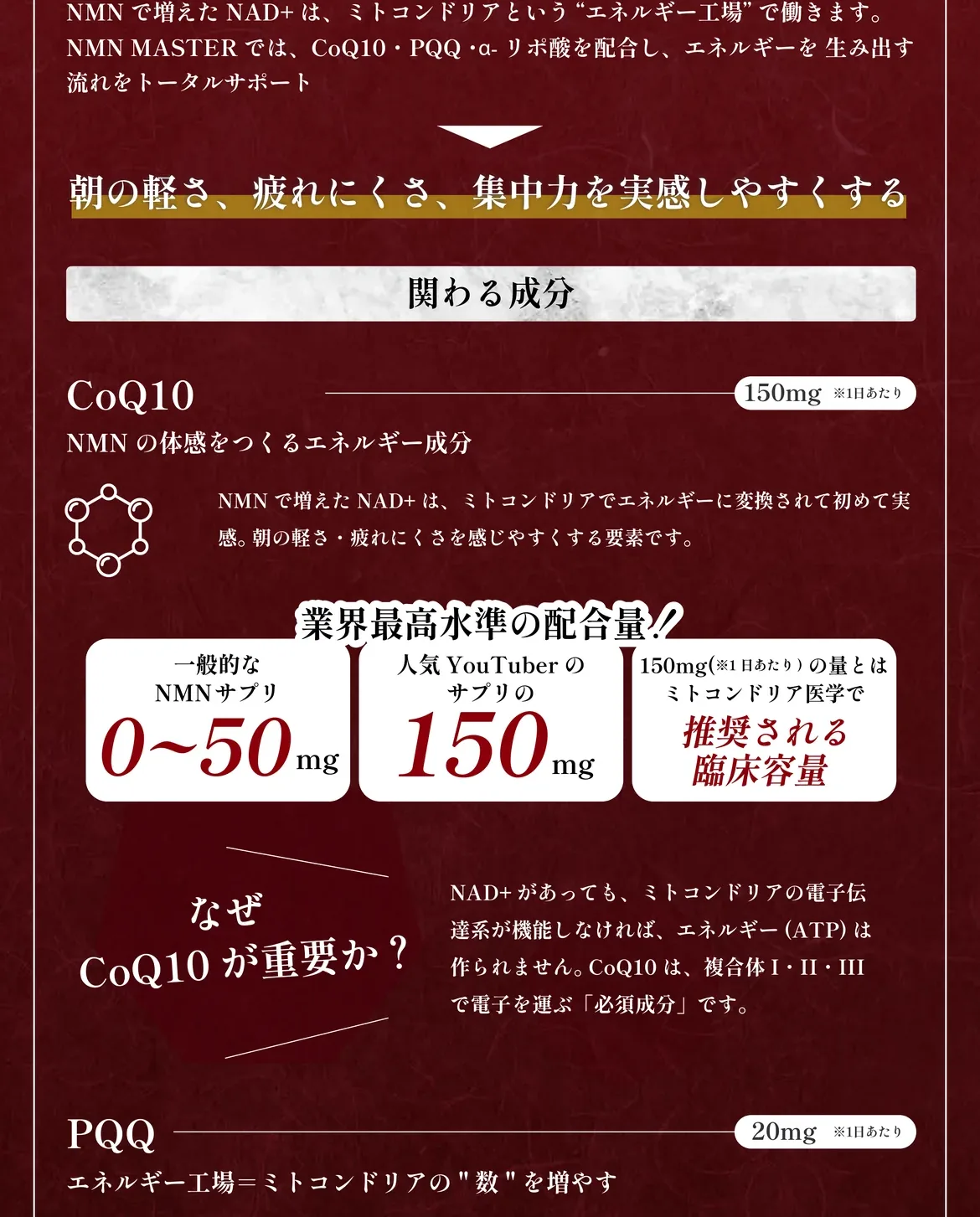 NMNは一般的な市販サプリの6倍・東京大学の臨床研究の6倍・人気YouTuberのサプリの2.5倍。TMG（ベタイン）500mg、ナイアシンアミド50mg